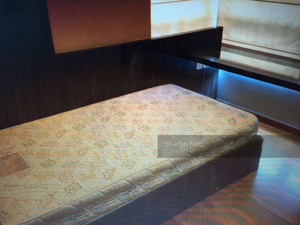 Rocca Balestier (D12), Apartment #128346552